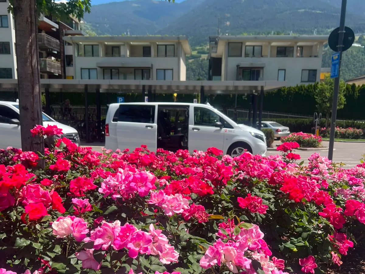 Taxi Brixen - Summer in Bressanone